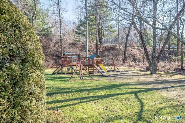 a view of a park with large trees