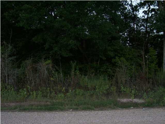 0 Thomassee Road Arnaudville, LA 70512 - Photo 6 of 7 Additional Photo