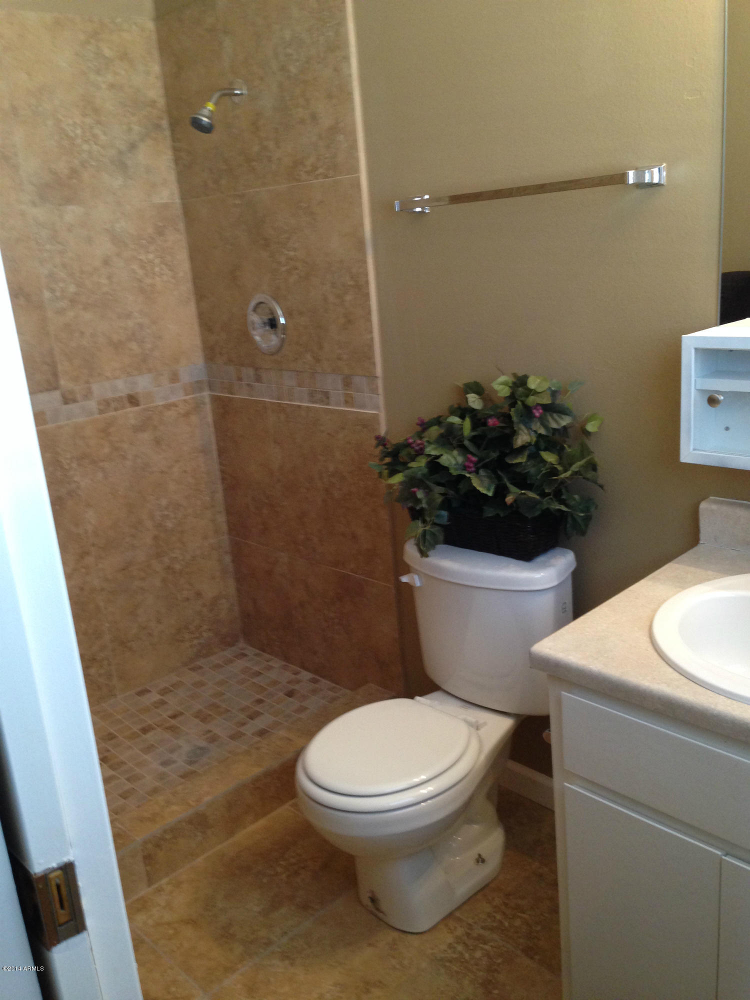 5740 Covina Road Mesa, AZ 85205 - Photo 13 of 19 a white toilet sitting next to a bathroom sink and a sink