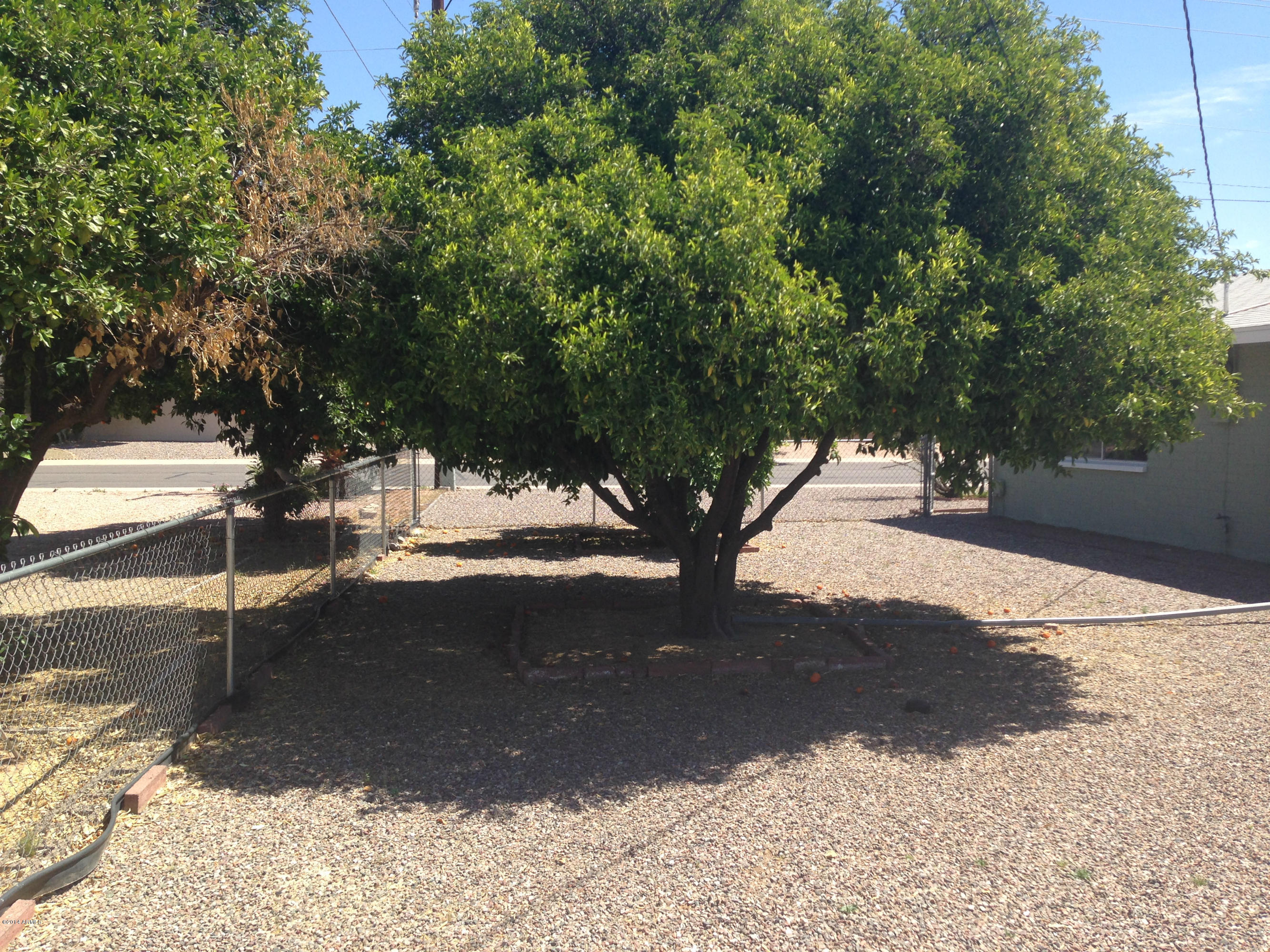 5740 Covina Road Mesa, AZ 85205 - Photo 18 of 19 a view of road and yard