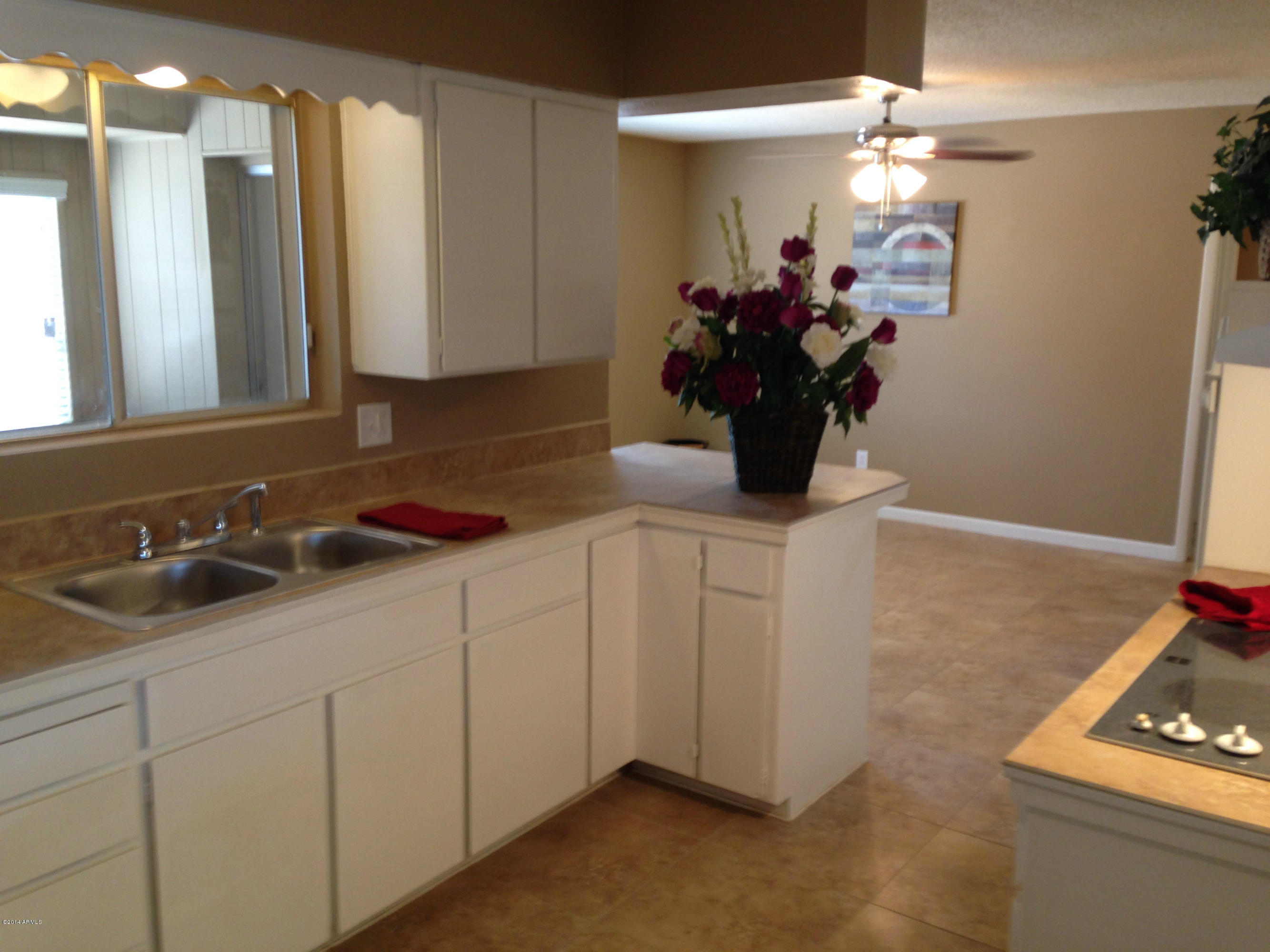5740 Covina Road Mesa, AZ 85205 - Photo 6 of 19 a bathroom with a sink and a mirror