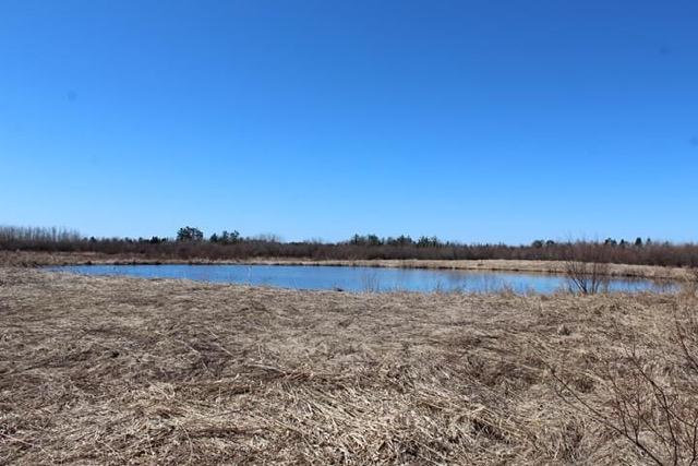 40 West Ploegstra Road Rudyard, MI 49780 - Photo 6 of 11 Gallery Image 6