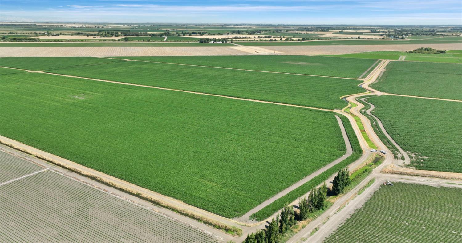 19701 Tyler Island Road Walnut Grove, CA 95690 - Photo 42 of 53 a view of a field with an ocean view