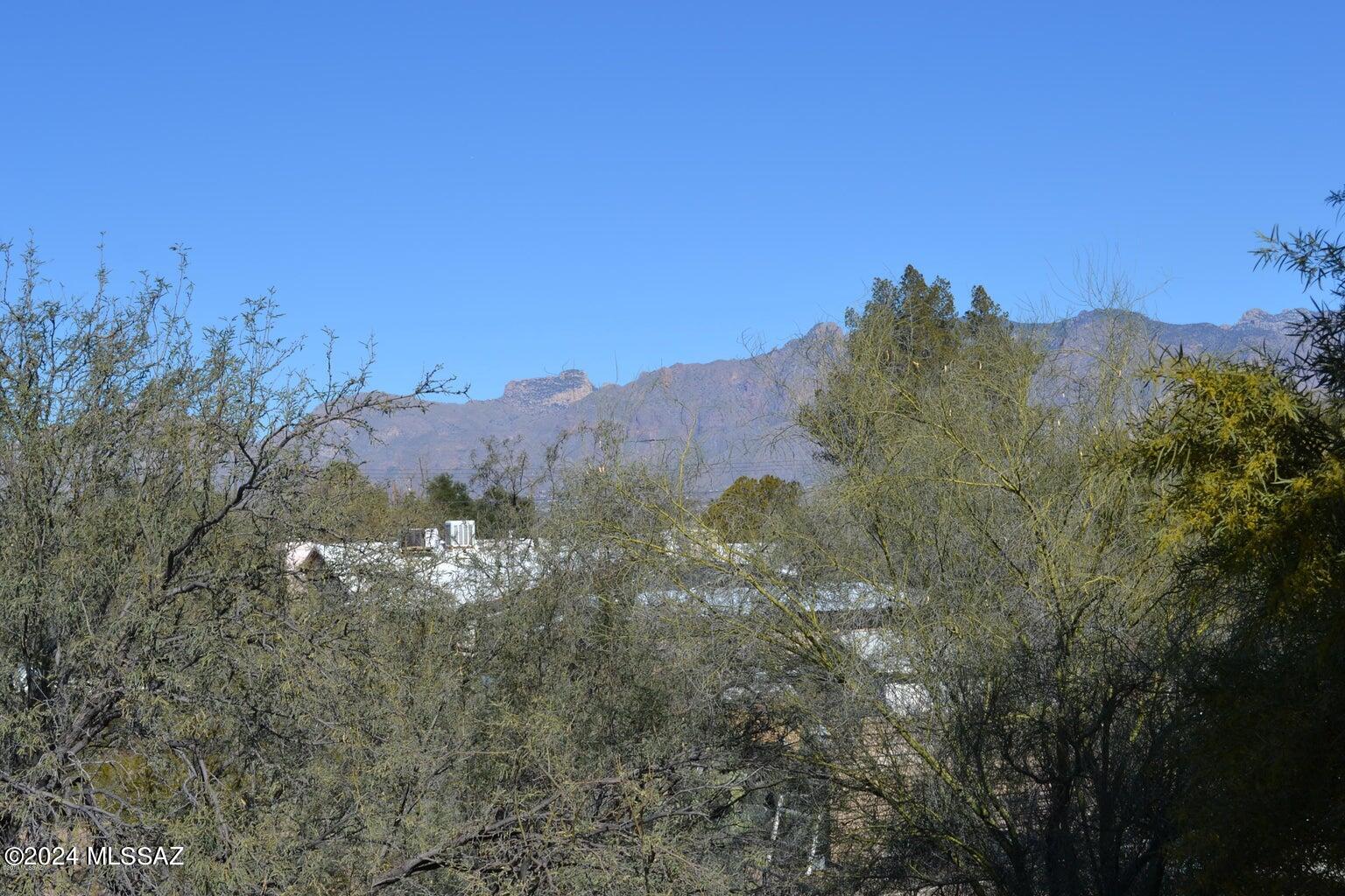 1341 East Fort Lowell Road, Unit B Tucson, AZ 85719 - Photo 17 of 17 Gallery Image 17