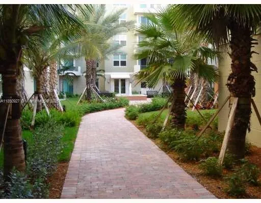 a view of a yard with plants and palm trees