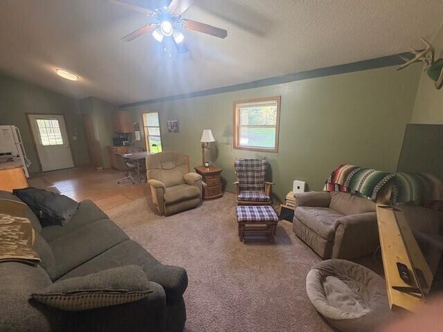 2779 19 Mile Road Marion, MI 49665 - Photo 6 of 24 tw8
