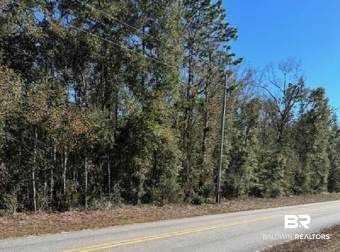 0 Patterson Road Loxley, AL 36551 - Photo 4 of 4