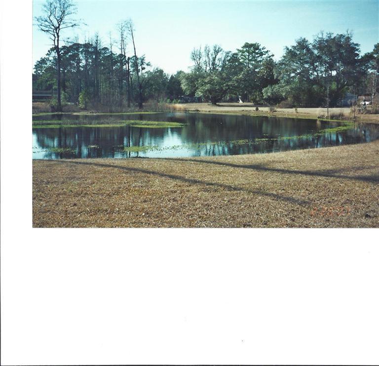 188 Hoover Road Hampstead, NC 28443 - Photo 1 of 3 Primary Photo