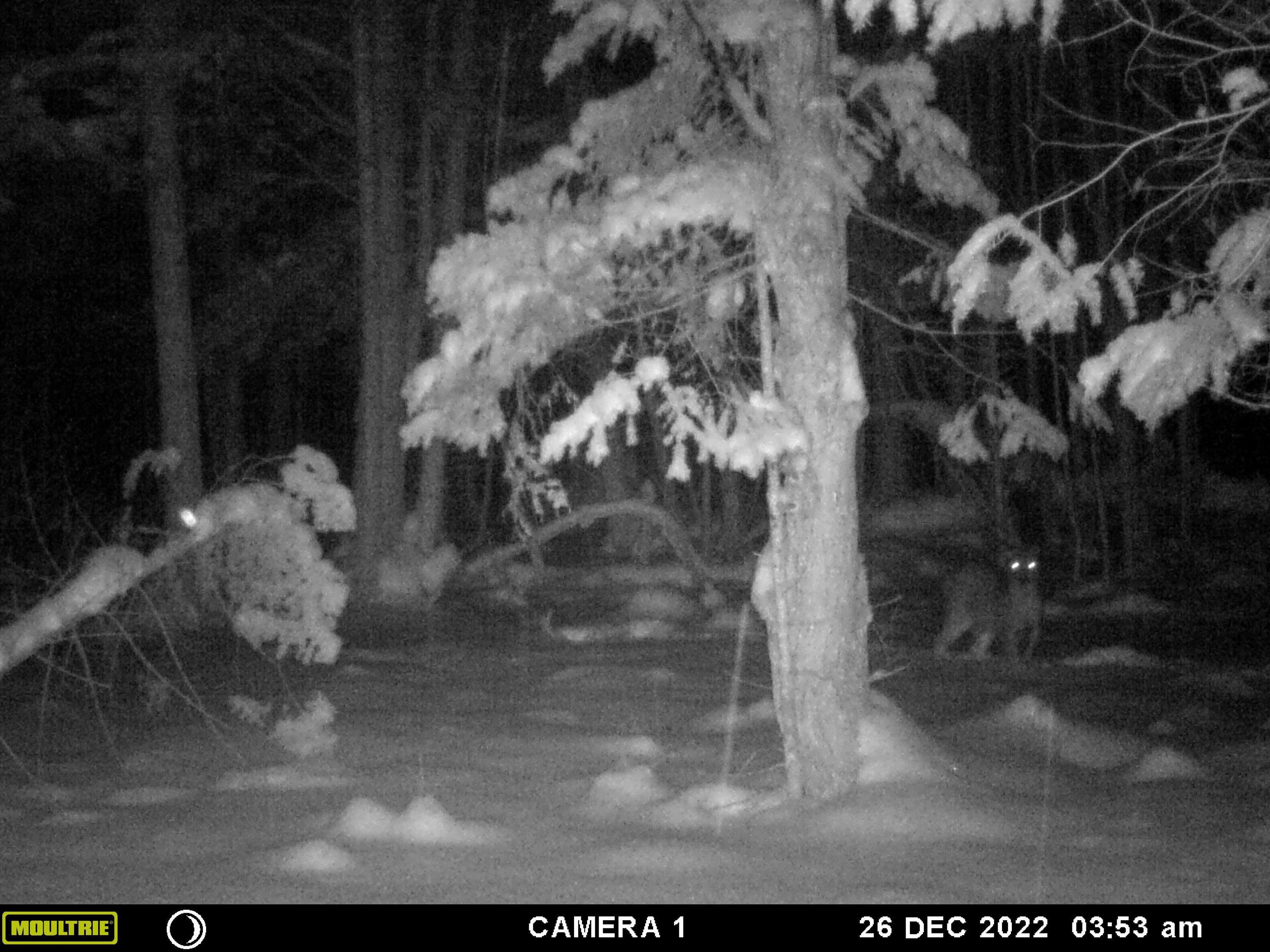 0 East Valley Road Cedar, MI 49621 - Photo 15 of 15