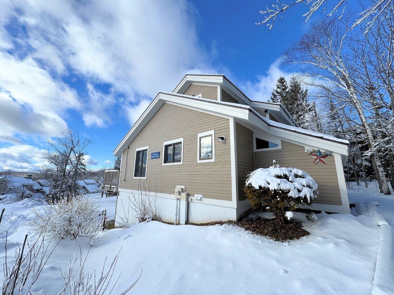66 Clover Pond Road, Unit 756A Peru, VT 05152 - Photo 3 of 55 Gallery Image 3