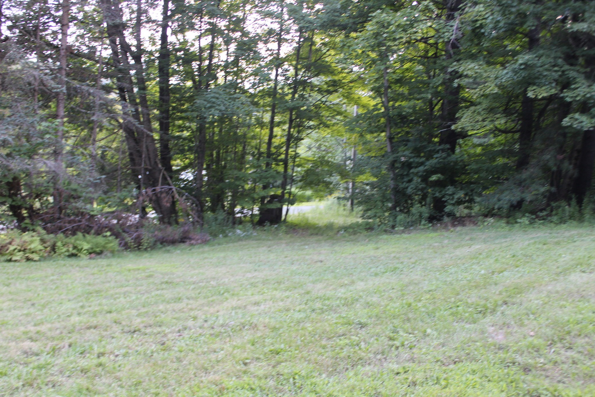 45 Dwight Cross Road Colrain, MA 01340 - Photo 19 of 28 Gallery Image 19