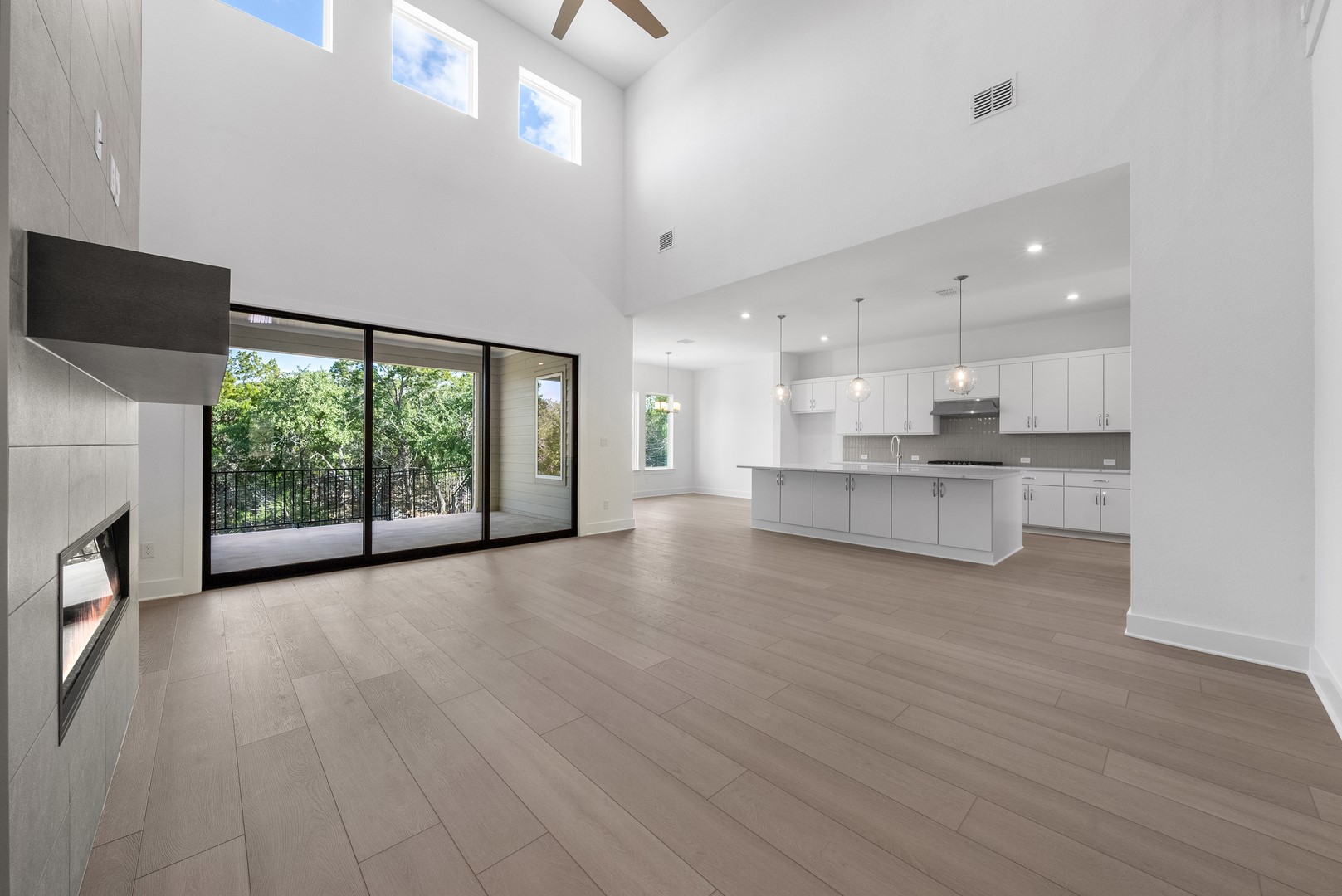 258 Cactus Wren Court Dripping Springs, TX 78620 - Photo 8 of 30