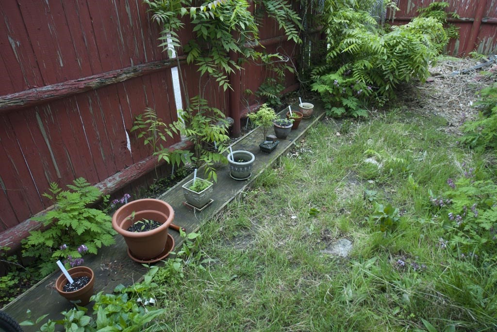 7-9 Reed Street Cambridge, MA 02140 - Photo 27 of 41 a view of a backyard with table and chairs and wooden fence
