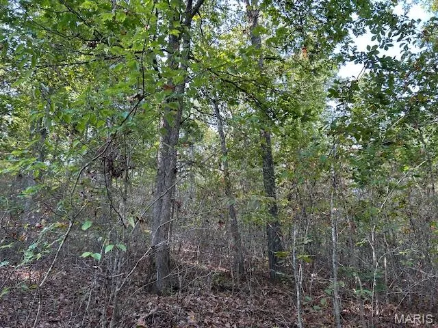 $34,900 | 240 Kaw Court, Annapolis, MO 63620