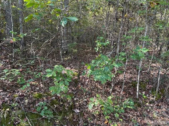 $34,900 | 240 Kaw Court, Annapolis, MO 63620