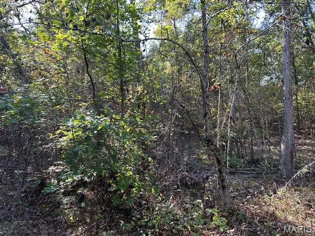 $34,900 | 240 Kaw Court, Annapolis, MO 63620