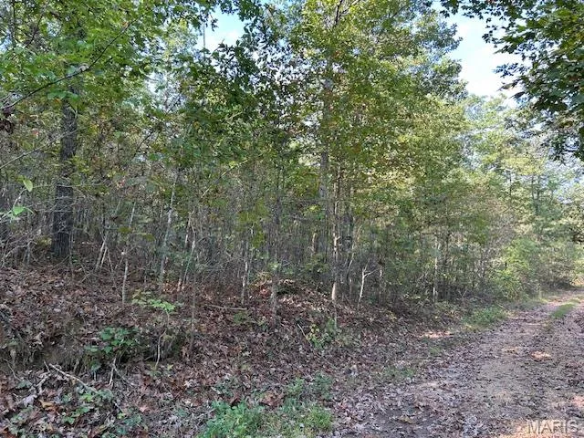 $34,900 | 240 Kaw Court, Annapolis, MO 63620