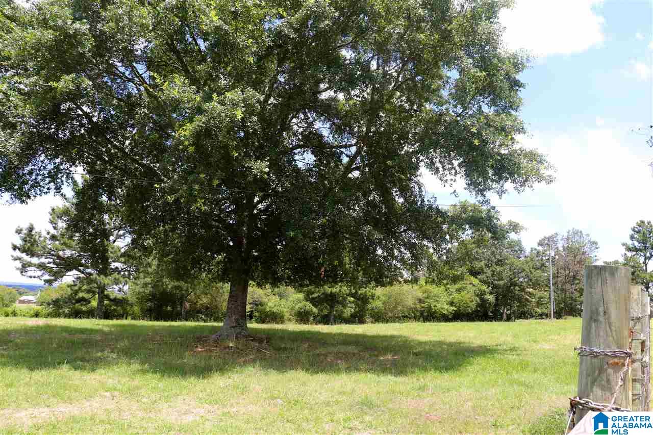 755 Back Bone Road Blountsville, AL 35031 - Photo 33 of 39