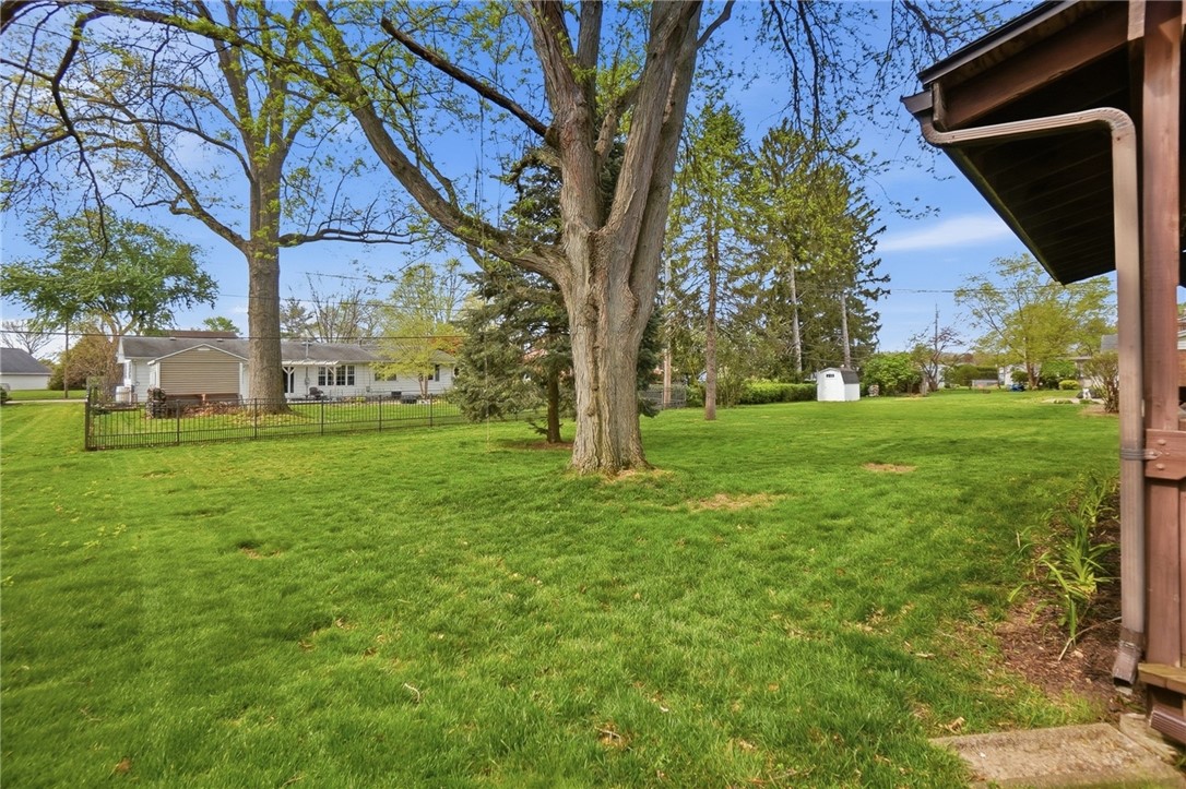 150 Littlejohn Road Troy, OH 45373 - Photo 39 of 40 This spacious green backyard offers privacy and room for recreation under a bright sky.