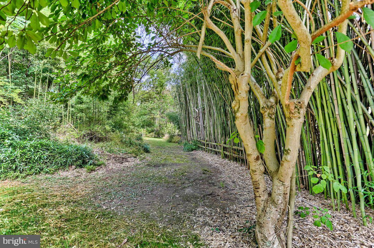 275 Green Valley Road York, PA 17403 - Photo 46 of 61 Gallery Image 46