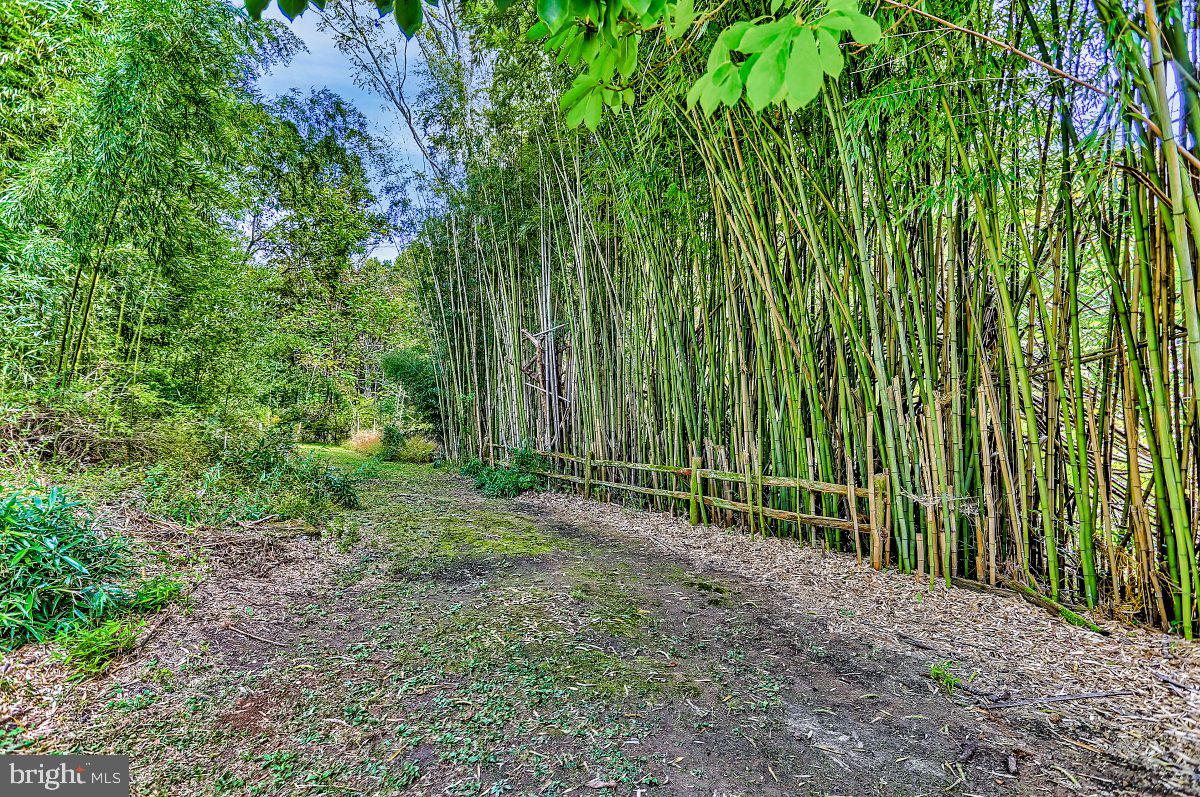 275 Green Valley Road York, PA 17403 - Photo 48 of 61 Gallery Image 48