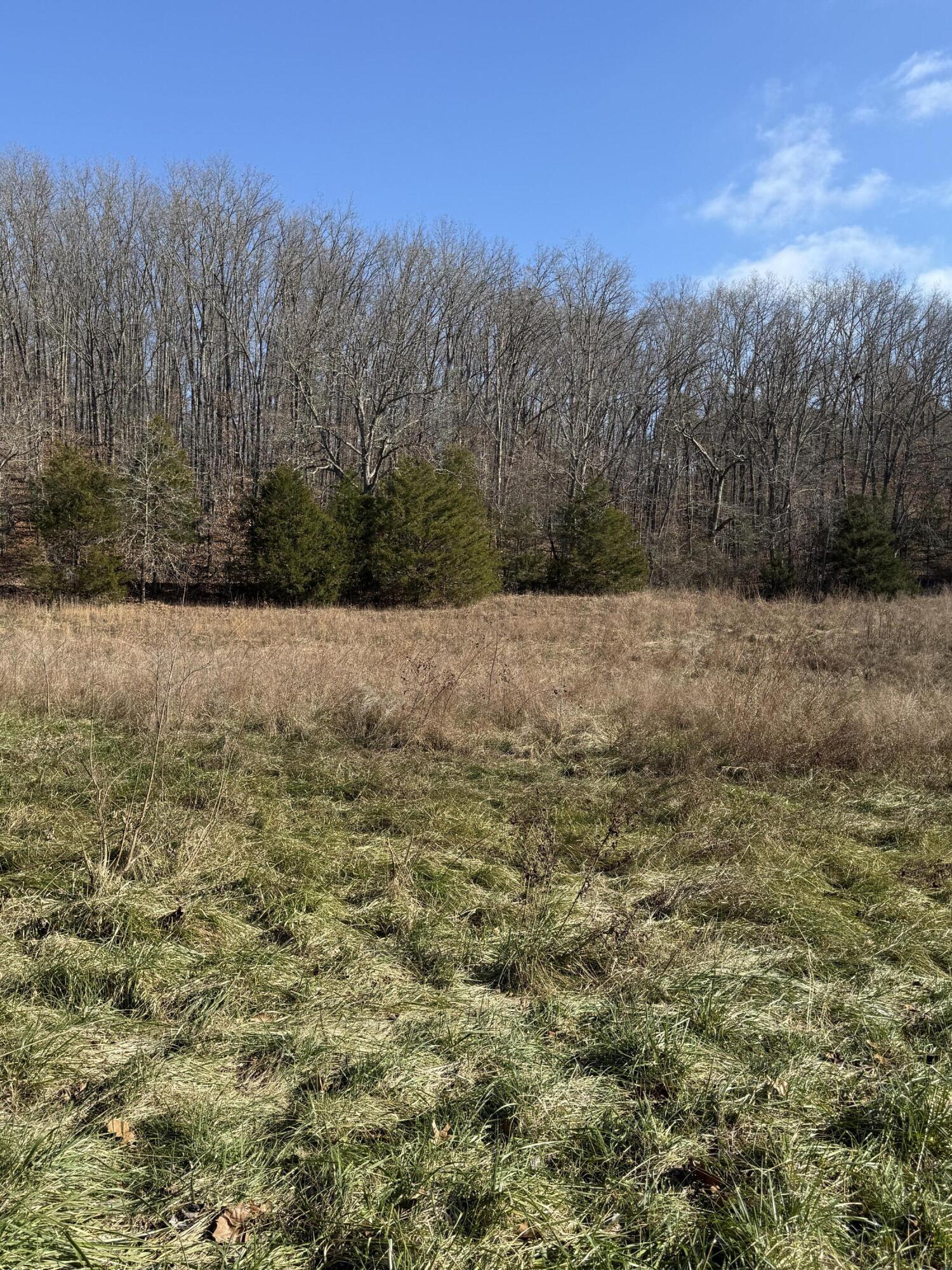 0 Varvel Road Willow Springs, MO 65793 - Photo 3 of 62 IMG_0821