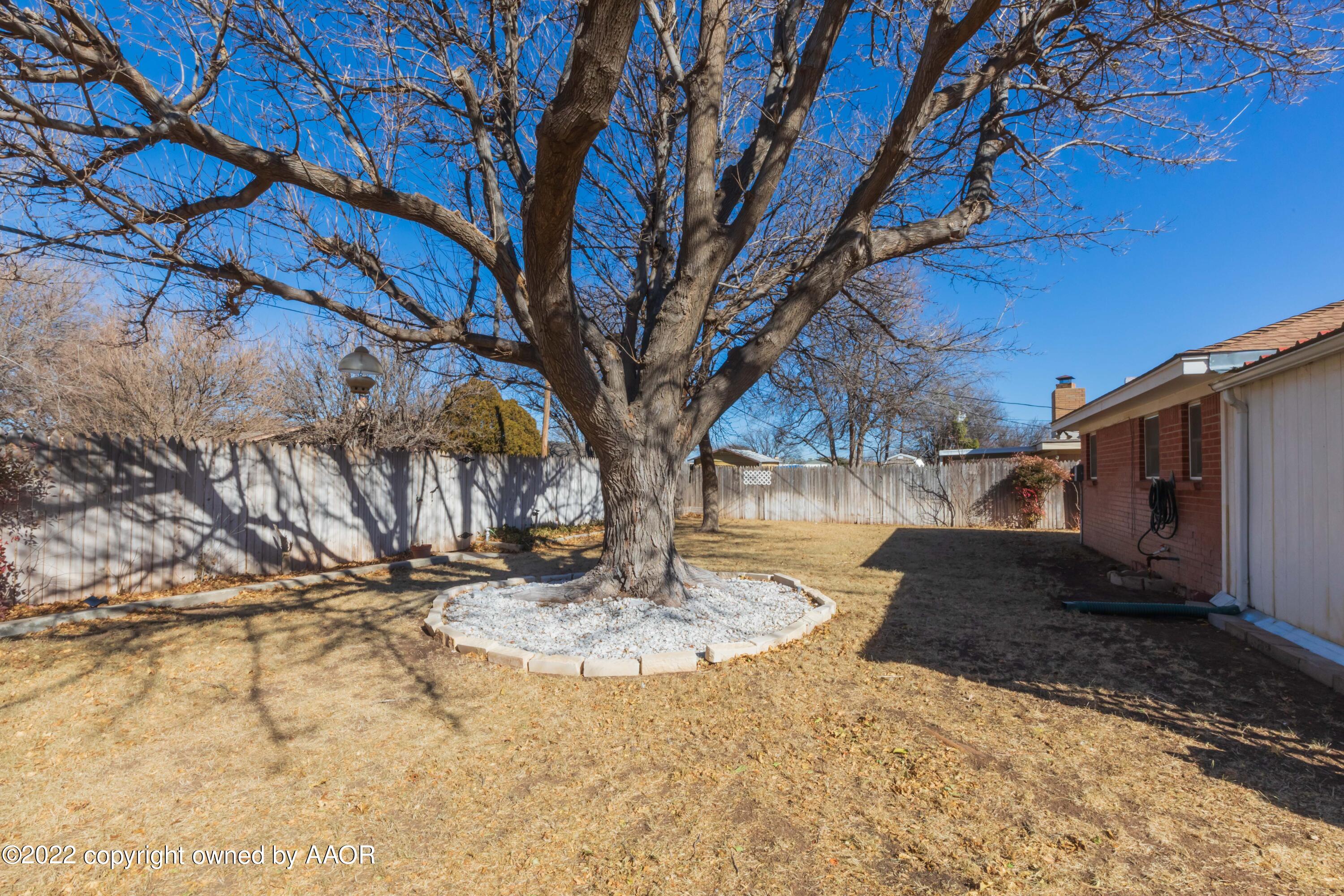 6210 Hanson Road Amarillo, TX 79106 - Photo 41 of 43 BACKYARD VIEW 1