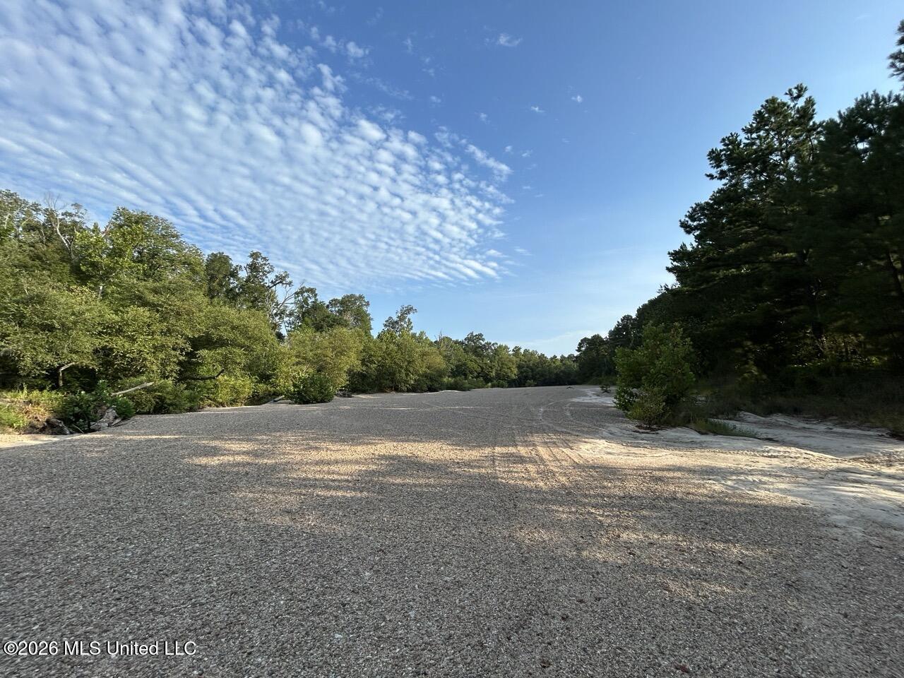 5 Old Oldenburg Road Meadville, MS 39653 - Photo 25 of 39 IMG_5573 Large