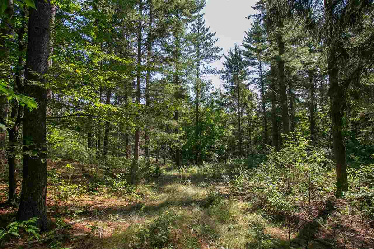Burnt Mill Road Interlochen, MI 49643 - Photo 7 of 25 1863508-6.JPG