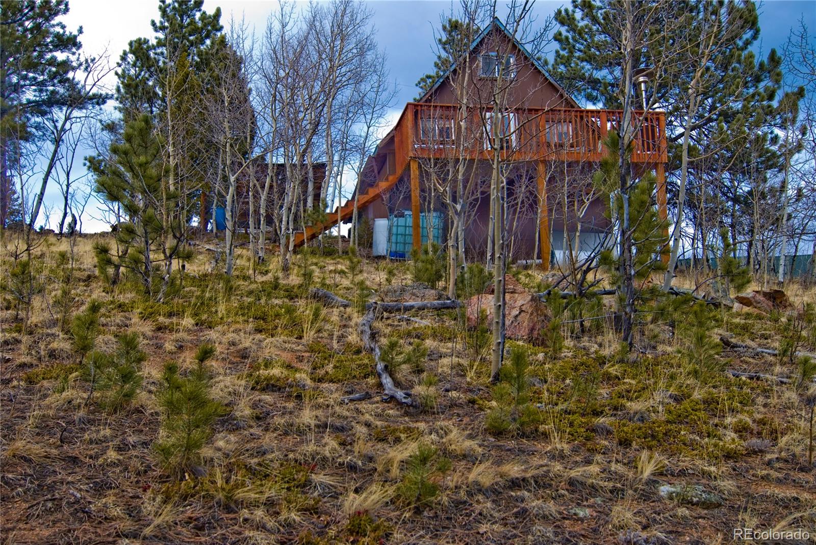 221 McDougal Road Bailey, CO 80421 - Photo 1 of 19 a view of a house with a small yard and a large tree