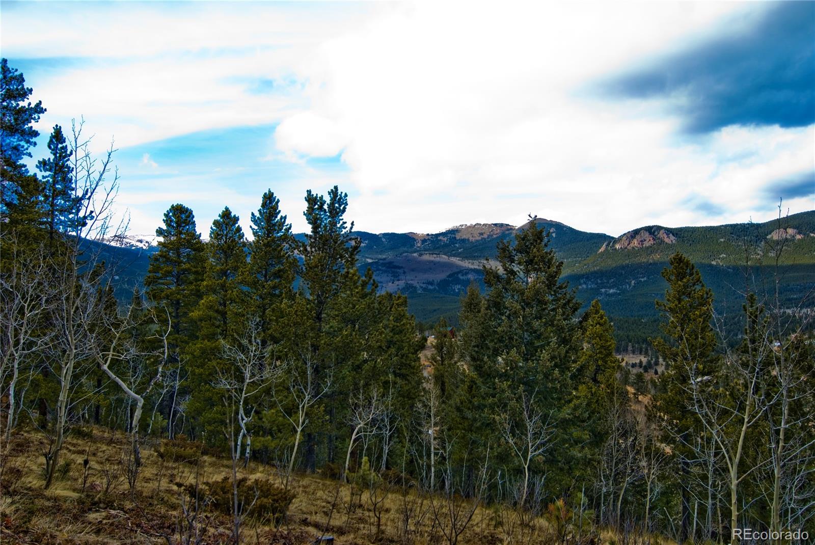 221 McDougal Road Bailey, CO 80421 - Photo 4 of 19 a view of a bunch of trees
