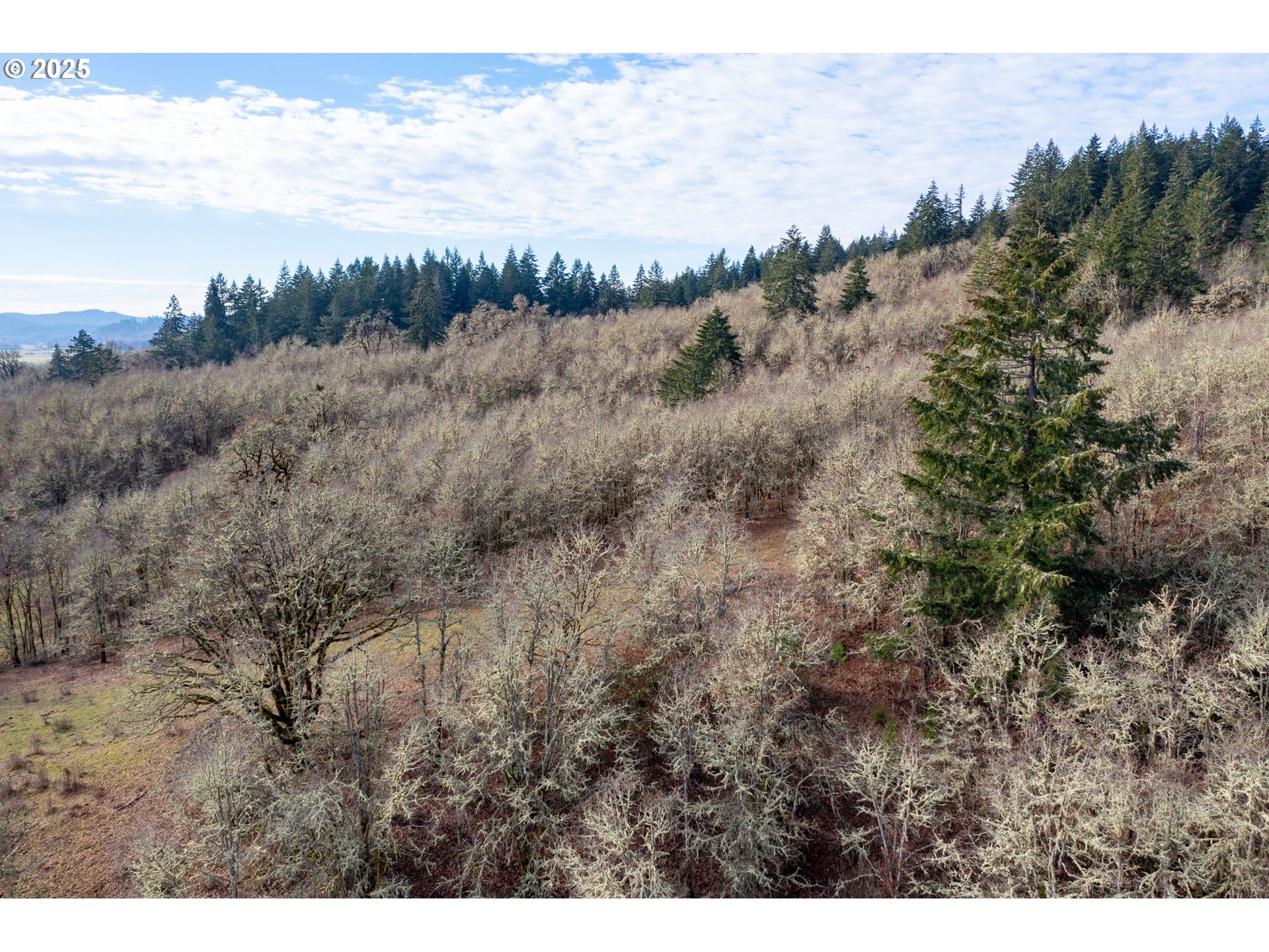 0 Next To) Airlie Road Monmouth, OR 97361 - Photo 33 of 34