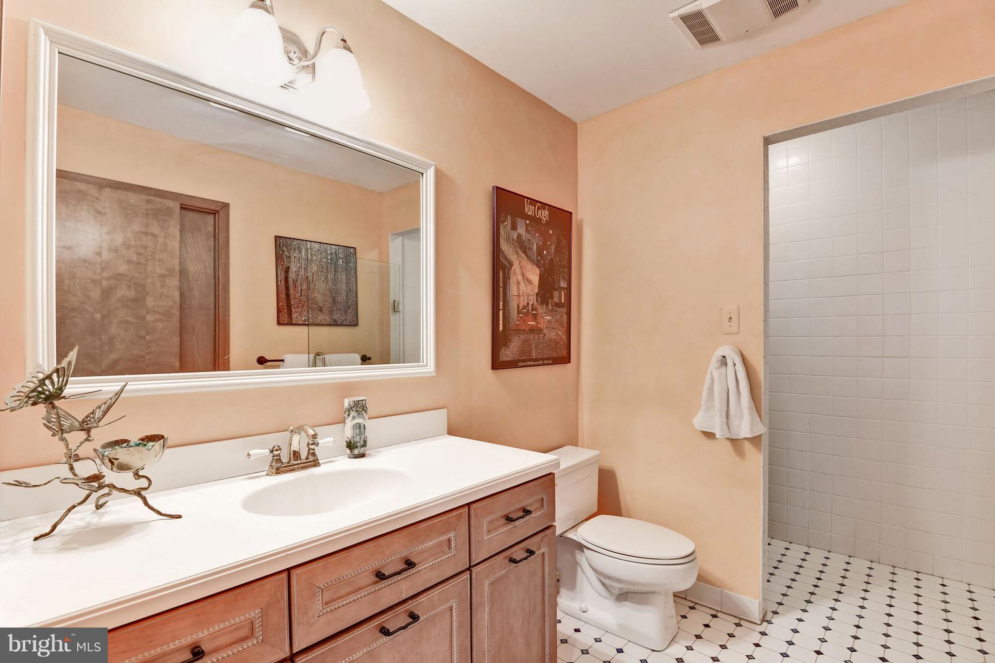 10905 Hunter Station Road Vienna, VA 22181 - Photo 23 of 30 Bath 3