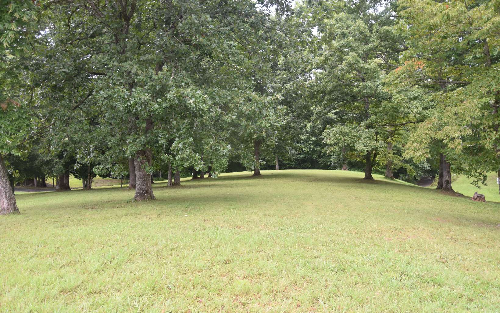 Drake Ridge Drive Hayesville, NC 28904 - Photo 8 of 11 Additional View