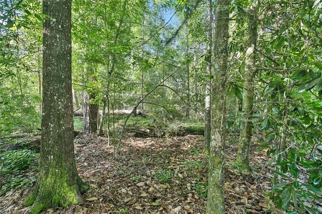 $71,000 | 0 Philebar Road, Folsom, LA 70437