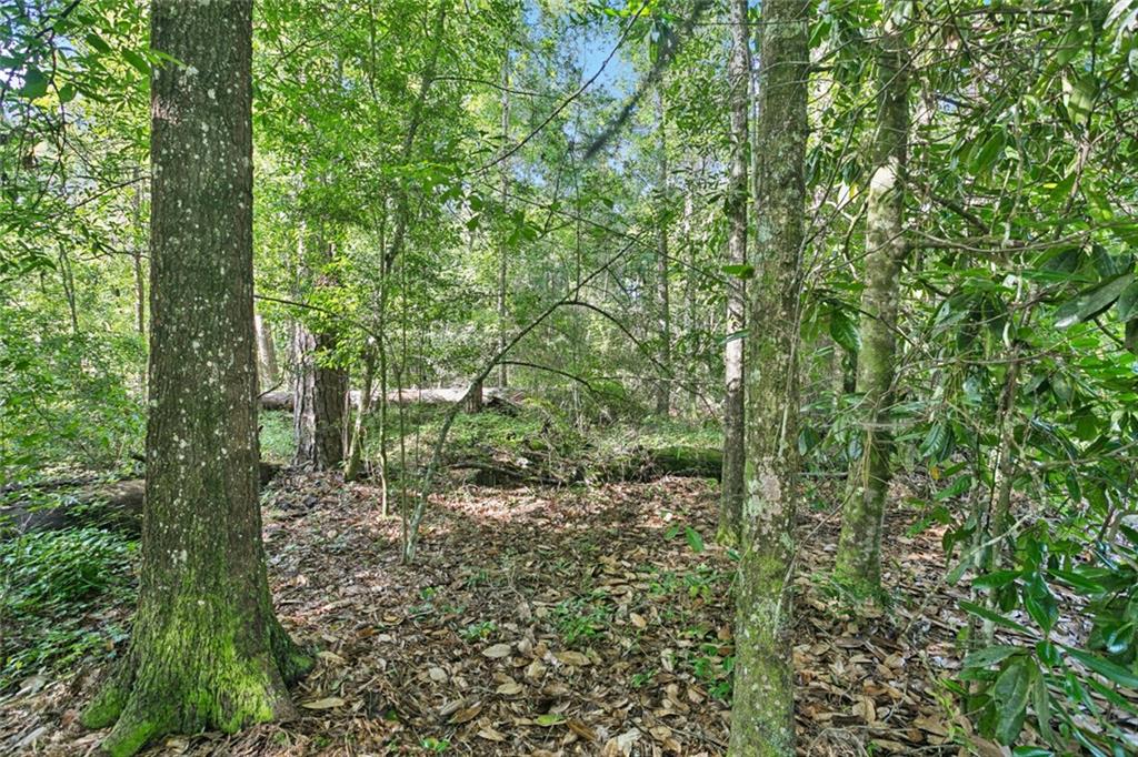 0 Philebar Road Folsom, LA 70437 - Photo 3 of 6