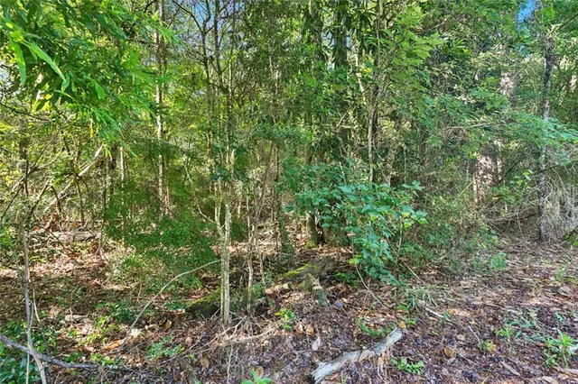 $71,000 | 0 Philebar Road, Folsom, LA 70437