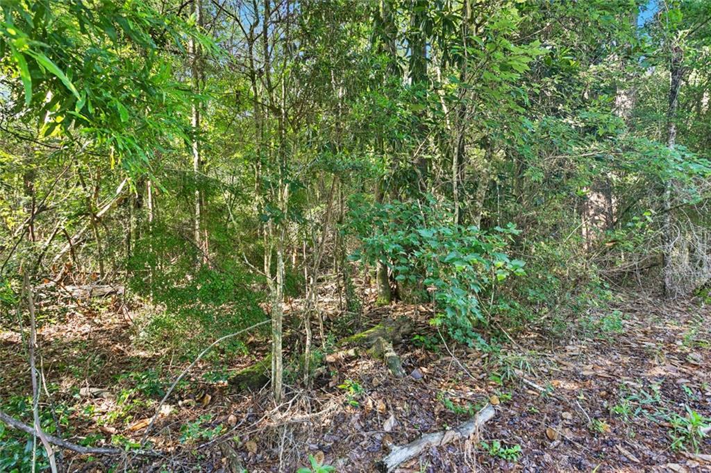 0 Philebar Road Folsom, LA 70437 - Photo 5 of 6