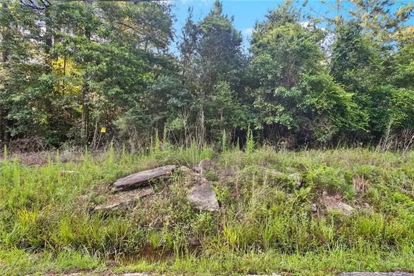 $71,000 | 0 Philebar Road, Folsom, LA 70437