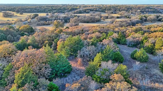a view of a yard with an trees