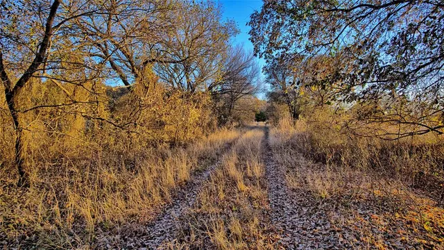 a view of a lake with a mountain from a lake