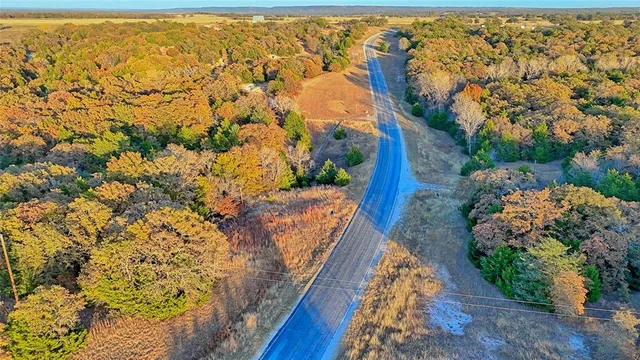 a view of a dirt pathway both side of green trees