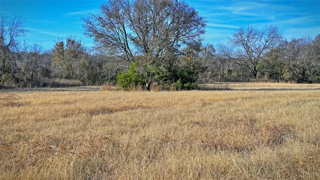 a view of empty field with trees