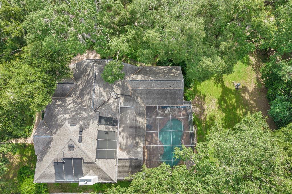 1507 West Windhorst Road Brandon, FL 33510 - Photo 4 of 62
