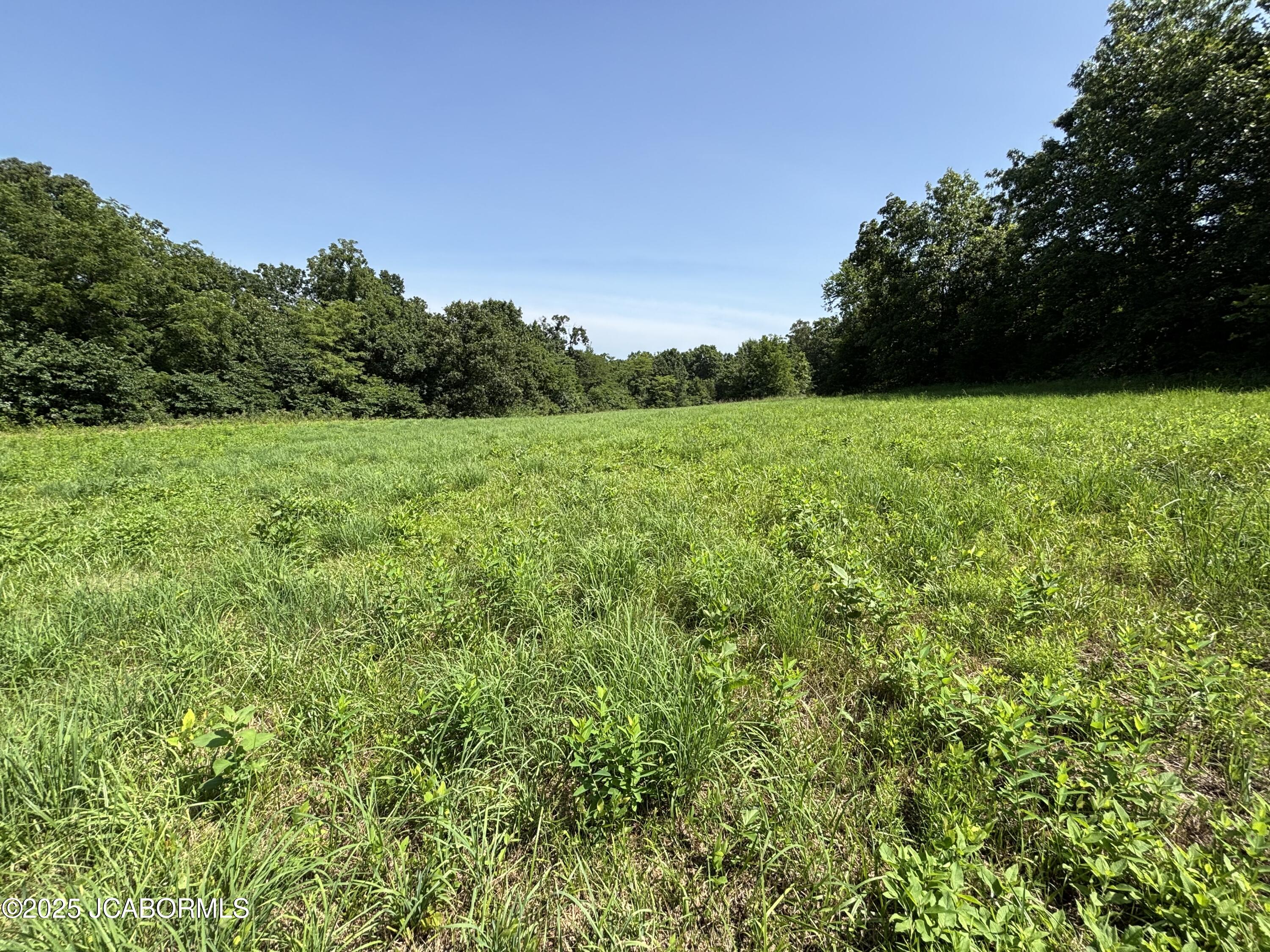 Tbd Tbd Meadow Ridge Road California, MO 65018 - Photo 12 of 12