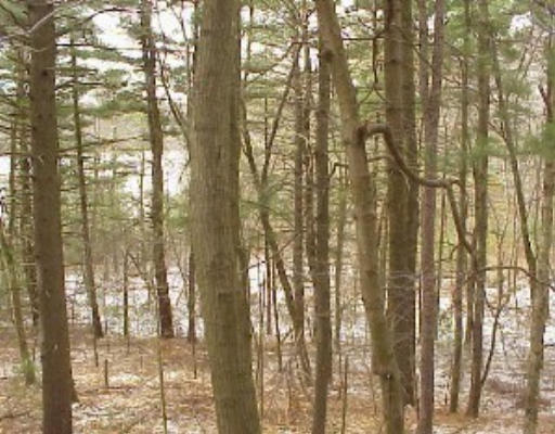 11-2 Reservation Road Andover, MA 01810 - Photo 1 of 1 Gallery Image 1