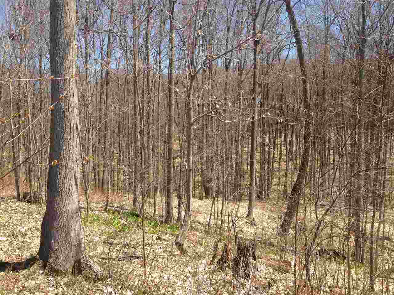 6140 Florey's Ranch Road Grawn, MI 49637 - Photo 36 of 40 1795817-45.JPG