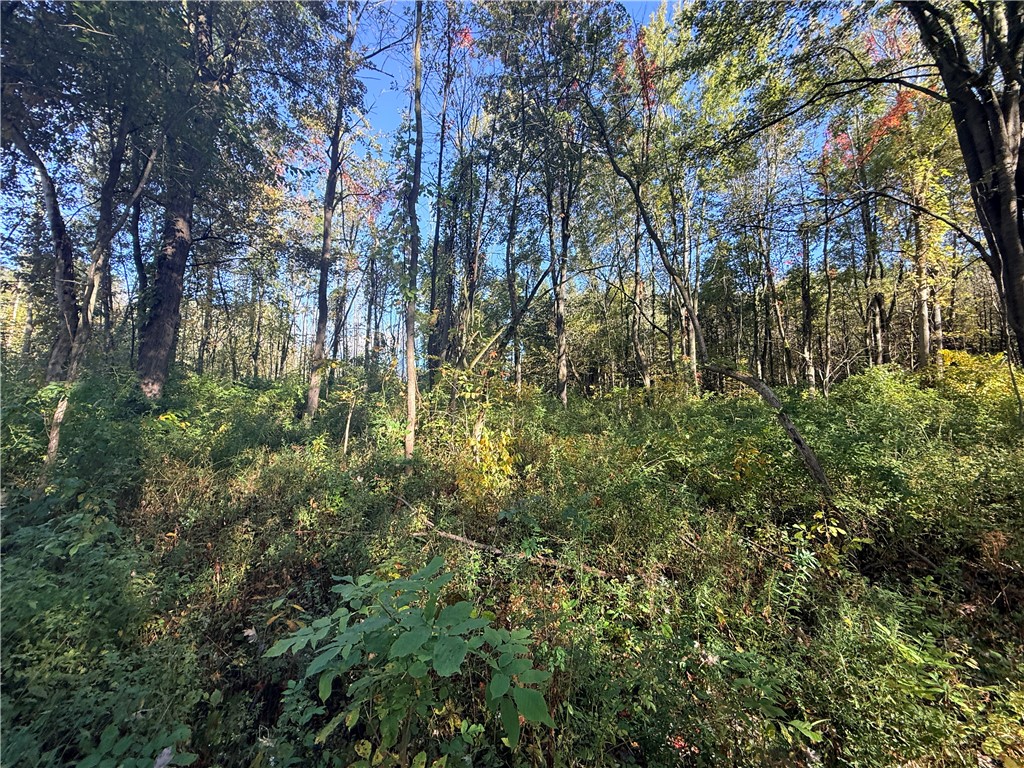 4048 Deneef Road Lyons, NY 14489 - Photo 20 of 23 Gallery Image 20