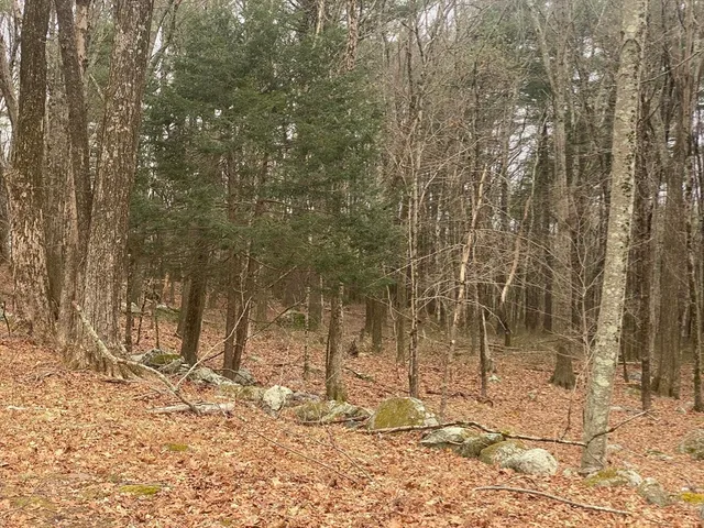 $723,200 | 260 Elm Street, Walpole, MA 02081