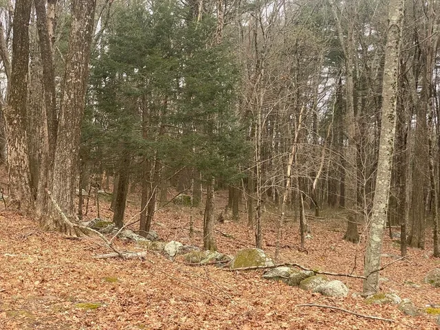 $723,200 | 260 Elm Street, Walpole, MA 02081